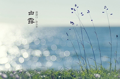 白露降，秋意濃