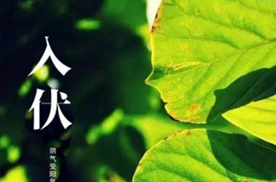 入伏在即，酷暑將至
