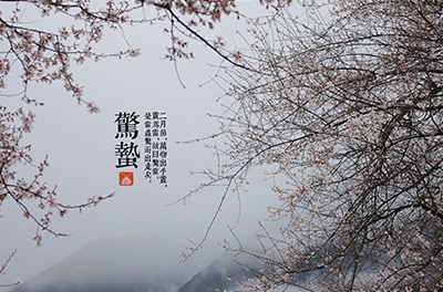 春雷起，驚蟄出